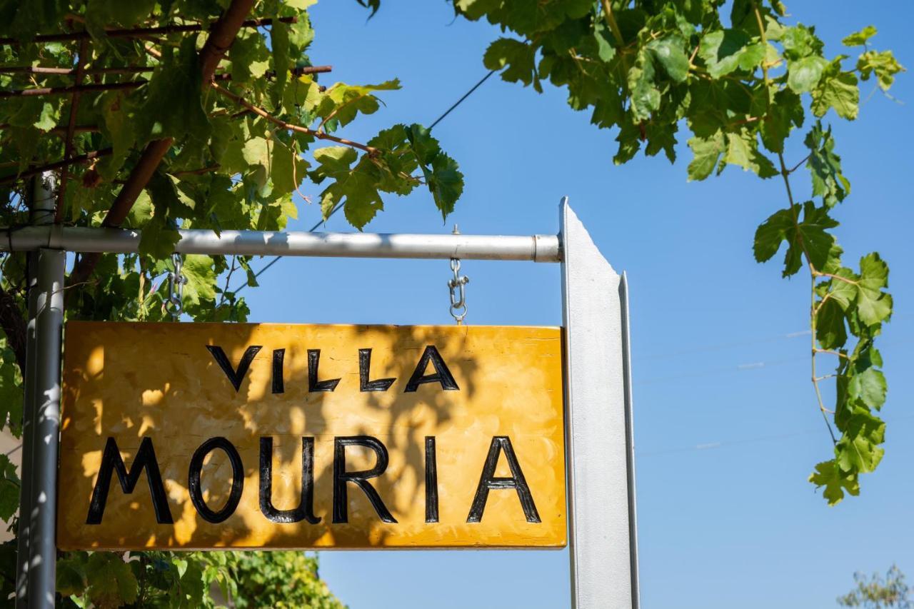 Villa Mouria Pinakokhorion エクステリア 写真